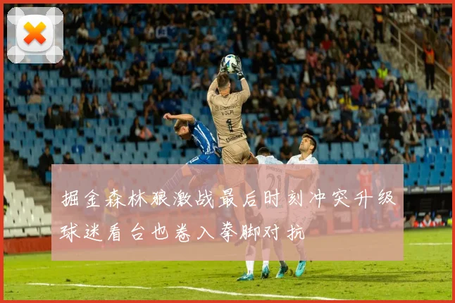 掘金森林狼激战最后时刻冲突升级球迷看台也卷入拳脚对抗