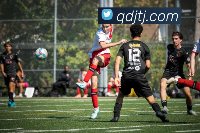 米兰网官网登录入口服务体系